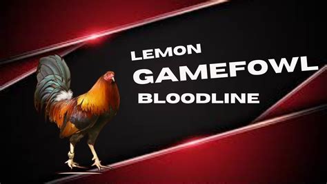 Gamefowl Bloodline: The Lemon .